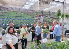 Many visitors looking for Hishtil plants. 